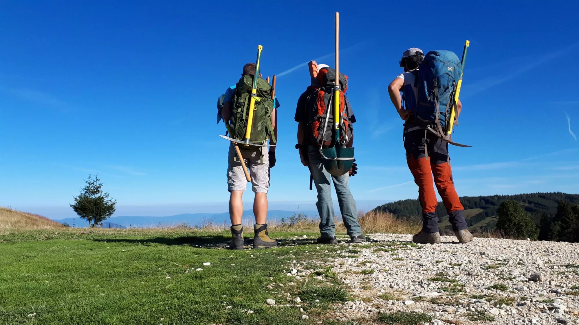 Image for Entretien des sentiers sur le territoire du Grésivaudan